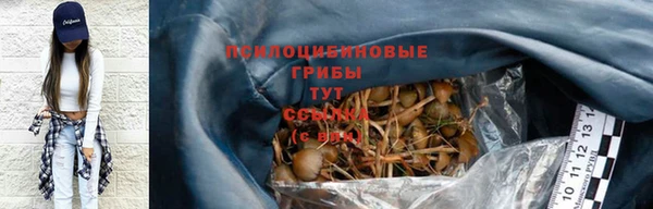 прущие грибы Арсеньев