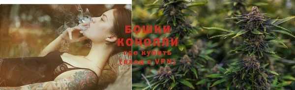 прущие грибы Арсеньев