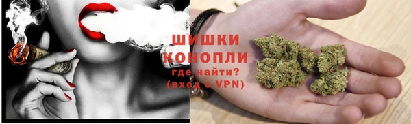 прущие грибы Арсеньев
