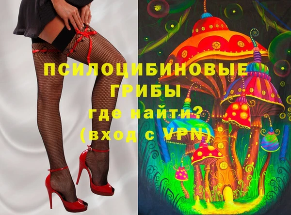прущие грибы Арсеньев
