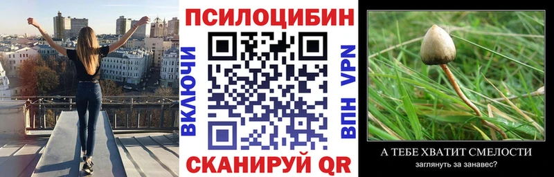Галлюциногенные грибы мицелий  что такое   Сергач 